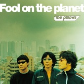 Fool on the planet artwork