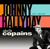 Johnny Hallyday - Poupée brisée (1963)