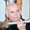 Sarı simin sehri