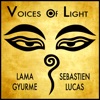 Voices of Light