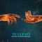 Te Llevo artwork