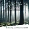 Relaxing and Peaceful Bgm album lyrics, reviews, download