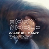 What If I Can't (feat. Mikey Dam) [Witters Remix] artwork