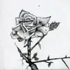 Konkrete Rose - Single album lyrics, reviews, download