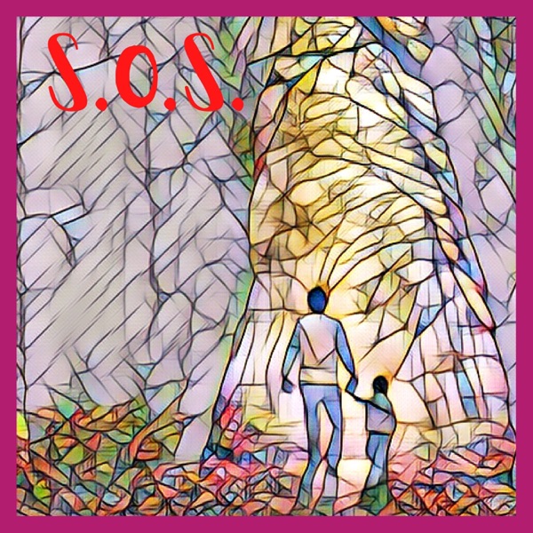 S.O.S.