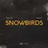 Snowbirds - Single album lyrics, reviews, download
