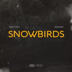 Snowbirds - Single by Harvey Stripes album reviews, ratings, credits