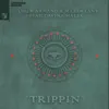 Stream & download Trippin (feat. Davina Malek) - Single