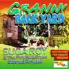 Granny Backyard - Single album lyrics, reviews, download