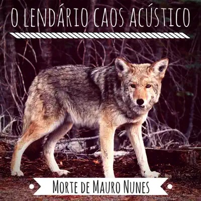 Morte de Mauro Nunes - O Lendário Caos Acústico