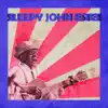 Presenting Sleepy John Estes album lyrics, reviews, download