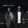 I'm In Love (feat. Shontelle) [Remixes] - EP