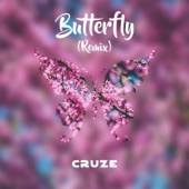 Butterfly (Remix) artwork