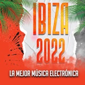 Ibiza 2022 artwork