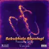 Sekukhala Abaningi - Single album lyrics, reviews, download