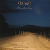 Ozbolt - Downhill Momentum