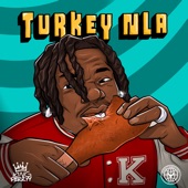 Turkey Nla artwork