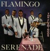 Flamingo Serenade artwork