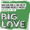 Sam Karlson - Because of You (feat. Michelle Weeks)