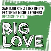 Sam Karlson/Luke Delite - Because Of You (Art Of Tones Extended Remix) feat. Michelle Weeks