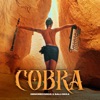 Cobra Sali Okka - Single