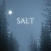 Salt - Single album lyrics, reviews, download