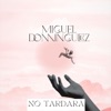 No Tardará - Single