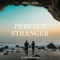 Perfect Stranger - Hogland & Mark Klaver lyrics