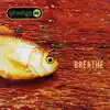 Breathe album lyrics, reviews, download