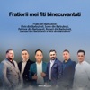 Fratiorii mei fiti binecuvantati (feat. Petrisor din Barbulesti, Robert Din Barbulesti, Samuel din Barbulesti & Mili din Barbulesti) - Single