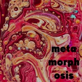 Metamorphosis (Acoustic) artwork