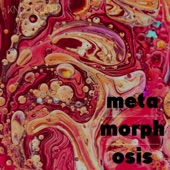 Metamorphosis artwork