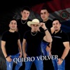 Quiero Volver - Single