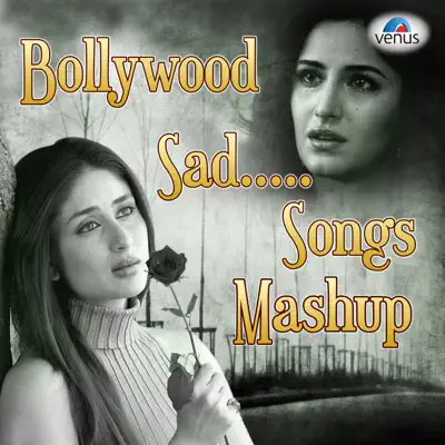 Kaash Kahin / Dil Jab / Tere Dard / Hum To Dil / Meri Zindagi / Masoom Chehra (Male Version) / Mile Tum Se [Bollywood Sad Songs Mashup] - Single - Alka Yagnik