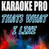 That's What I Like (Originally Performed by Bruno Mars) [Instrumental Version] song lyrics