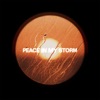 Peace In My Storm - Single