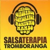 Salsaterapia