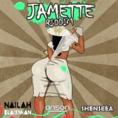 Jamette Riddim (Instrumental) artwork