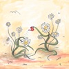 Chamomile - Single