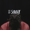 33 Savage - Single