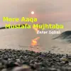 Mere Aaqa Mustafa Mujhtaba - Single album lyrics, reviews, download