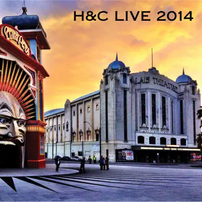 Live 2014 - Hunters and Collectors