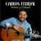 Estrella Fugaz (feat. Nicho Hinojosa) - Carlos Ferral lyrics