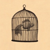 Fish in a Birdcage - Rule #4 - Fish in a Birdcage