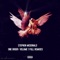 Badmind (feat. Deep Jahi) - Stephen McDonald lyrics