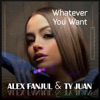 Whatever You Want - Single