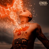 Cenizas - EP artwork