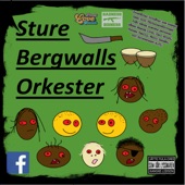 Sture Bergwalls Orkester artwork