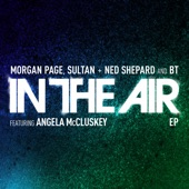 In the Air (Remixes) [feat. Angela McCluskey] artwork