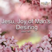 Jesu, Joy of Man's Desiring, BWV 147 - EP artwork